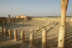 Septimus: Archaeological site of Palmyra, Syria