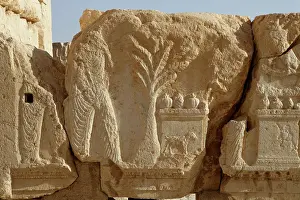 Baal: Archaeological site of Palmyra, Syria