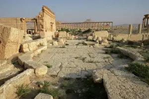 Tadmur: Archaeological site of Palmyra, Syria
