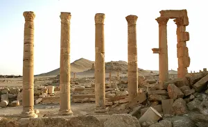 Zenobia: Archaeological site of Palmyra, Syria