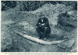 Unearthed: An archaeologist sits next to the unearthed remains