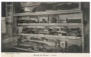 Artifacts: Archaeology, Glozel