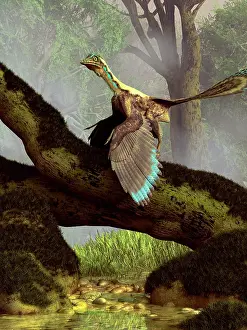 Contour: An Archaeopteryx on a log above a stream