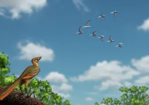 Contour: An Archaeopteryx observing a flock of migrating pterosaurs