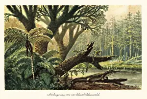 River Bank: Archegosaurus decheni by a river in a primordial jungle