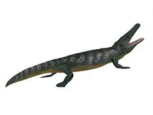Temnospondyli: Archegosaurus side profile