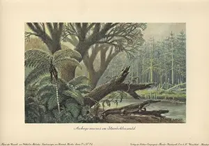 Tiere: An archegosaurus by a river bank in a tropical