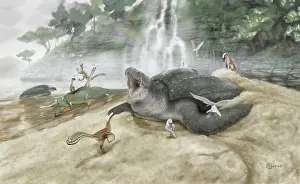 Variation: Archelon ischyros turtle pictured with Saurornitholestes
