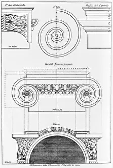 Alberti: Architectural drawing for an Ionic capital ?