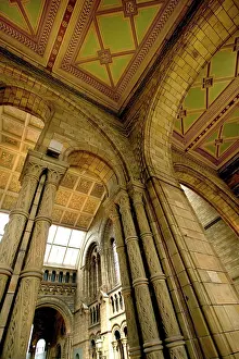 Guilded: Architectural features of the Main Hall