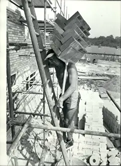 Starters: Architecture - Construction - Design - Housing