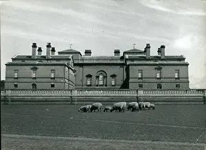 Holkham: Architecture - Construction - Design - Housing