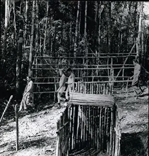 Selva: Architecture - Construction - Design - Housing