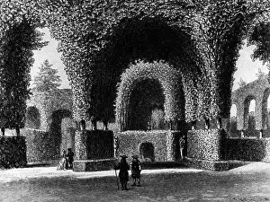 Arbour: architecture, gardens, arbours in the par of