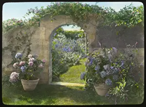 Hydrangea: Architecture - Grey Gardens - Bench