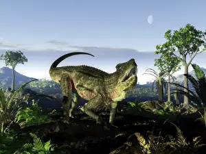 Archosauria: An archosaur of the genus Postosuchus wanders in a ?