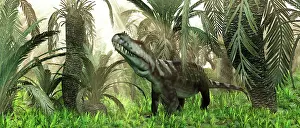 Archosauria: An archosaur wanders amidst cycads and ferns in a ?