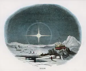 Icescapes: ARCTIC SCENE/WHIMPER