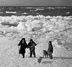 Observations: Arctic station