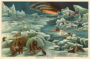 Levi: Arctic Zone, Vintage Print, 1893