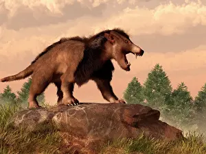 Paleocene: An Arctocyon on a rock