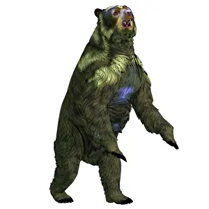 Pleistocene: Arctodus bear rearing up