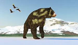 Fowl: An Arctodus short-faced bear in a cold environment