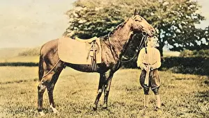 Ard Patrick, Winner of the Epsom Derby in 1902