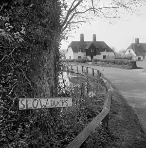 Hallows: Ardeley Village