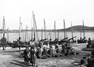 Produce: Ardglass