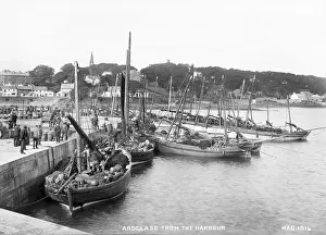 Ardglass: Ardglass from the Harbour