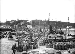 Herring: Ardglass in the Herring Season