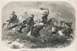 Rounding: ARGENINTIAN GAUCHOS