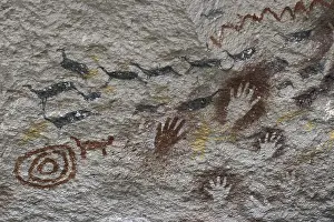 Guanaco: Argentina. Cave of the Hands. Cave paintings