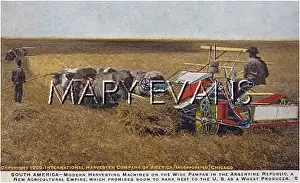 Pampas: ARGENTINA - HARVEST