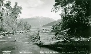 Nahuel: Argentina - Lake Nahuel Huapi