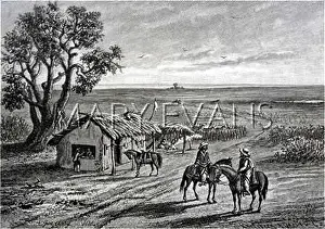 Gauchos: ARGENTINA/PAMPAS/1894