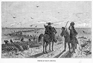 Pampas: ARGENTINA PAMPAS