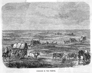 Pampas: ARGENTINA PAMPAS