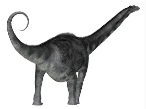 Macronaria: Argentinosaurus dinosaur, rear view
