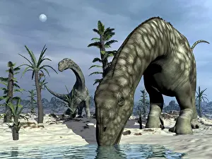 Puddle: Argentinosaurus dinosaurs grazing in the desert