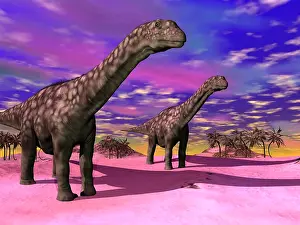 Multi Colored: Two Argentinosaurus dinosaurs in a prehistoric landscape