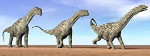 Huinculensis: Three Argentinosaurus dinosaurs standing in the desert