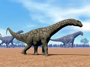 Huinculensis: Three Argentinosaurus dinosaurs walking in the desert