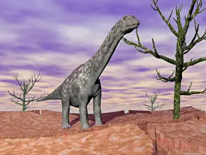 Huinculensis: Argentinosaurus standing on the cracked desert ground next ?