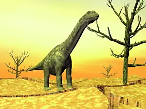 Huinculensis: Argentinosaurus standing on the cracked desert ground next ?