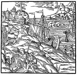 Fleece: Argonauts finding the Golden Fleece, a fleece