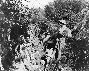 Argonne: Argonne 1917