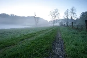 Feat: Argonne Battlefield - Cpl. Alvin York