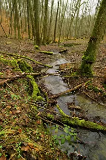 Feat: Argonne Battlefield - Cpl. Alvin York